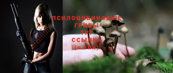 mix Абаза