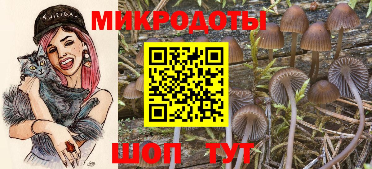 Галлюциногенные грибы MAGIC MUSHROOMS Удомля
