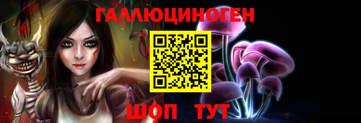 Галлюциногенные грибы Psilocybe  Вход с VPN  Удомля 
